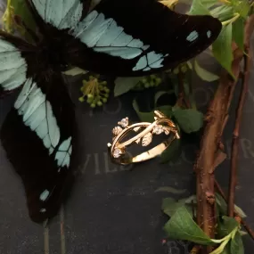 The Fae Ring